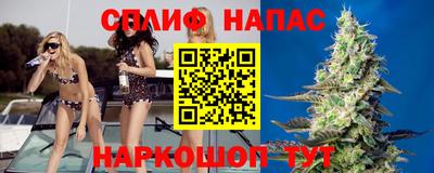 тгк Гатчина
